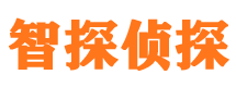 郎溪市私家侦探